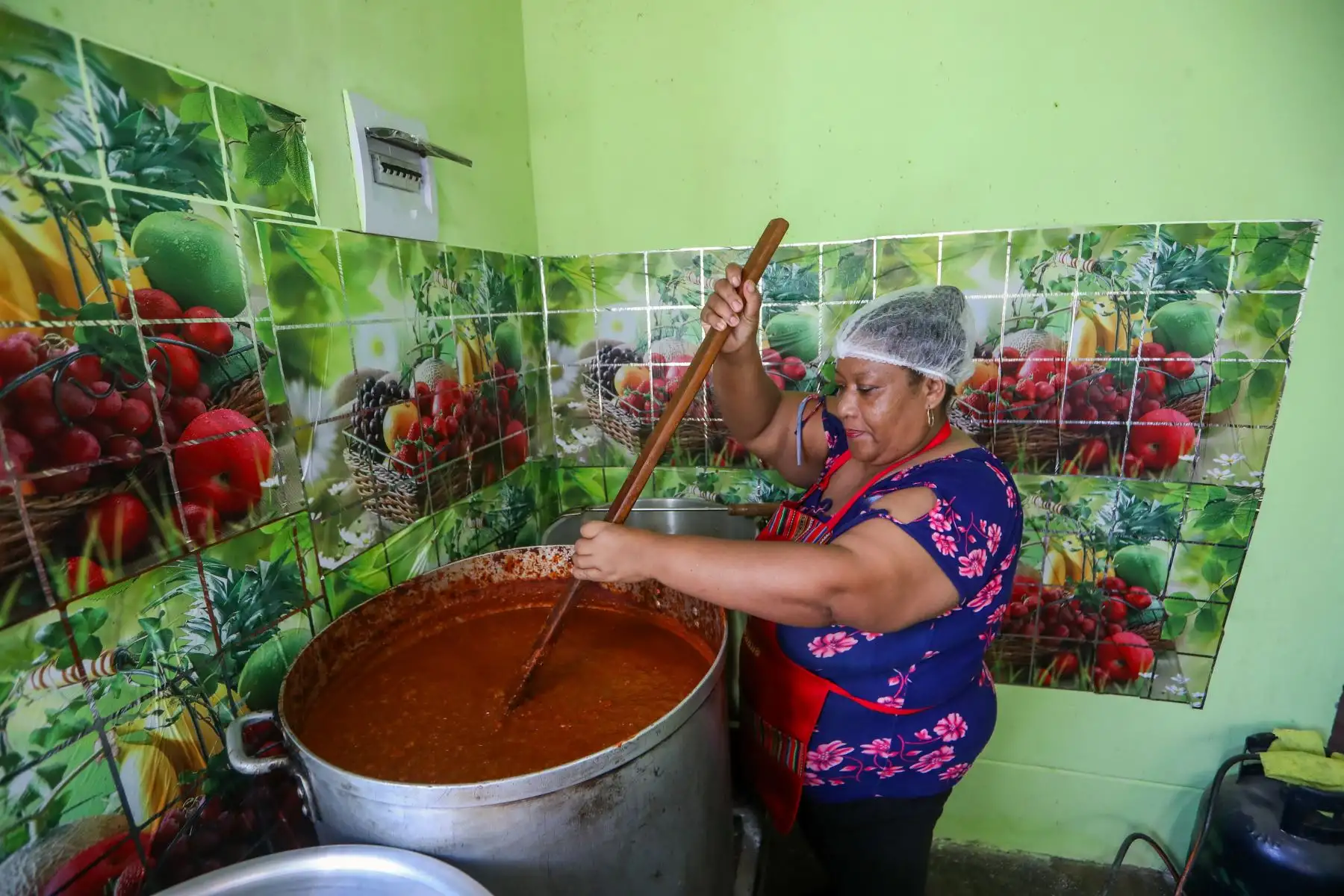 La Biblioteca Nacional del Perú inauguró en el distrito de El Carmen, provincia de Chincha, región Ica, las bibliotecas rurales de San Regis y Guayabo. En la ceremonia de inauguración participaron la ministra de Cultura, Soraya Altabás, y el jefe institucional de la BNP, Juan Yangali. Foto: ANDINA/Ricardo Cuba