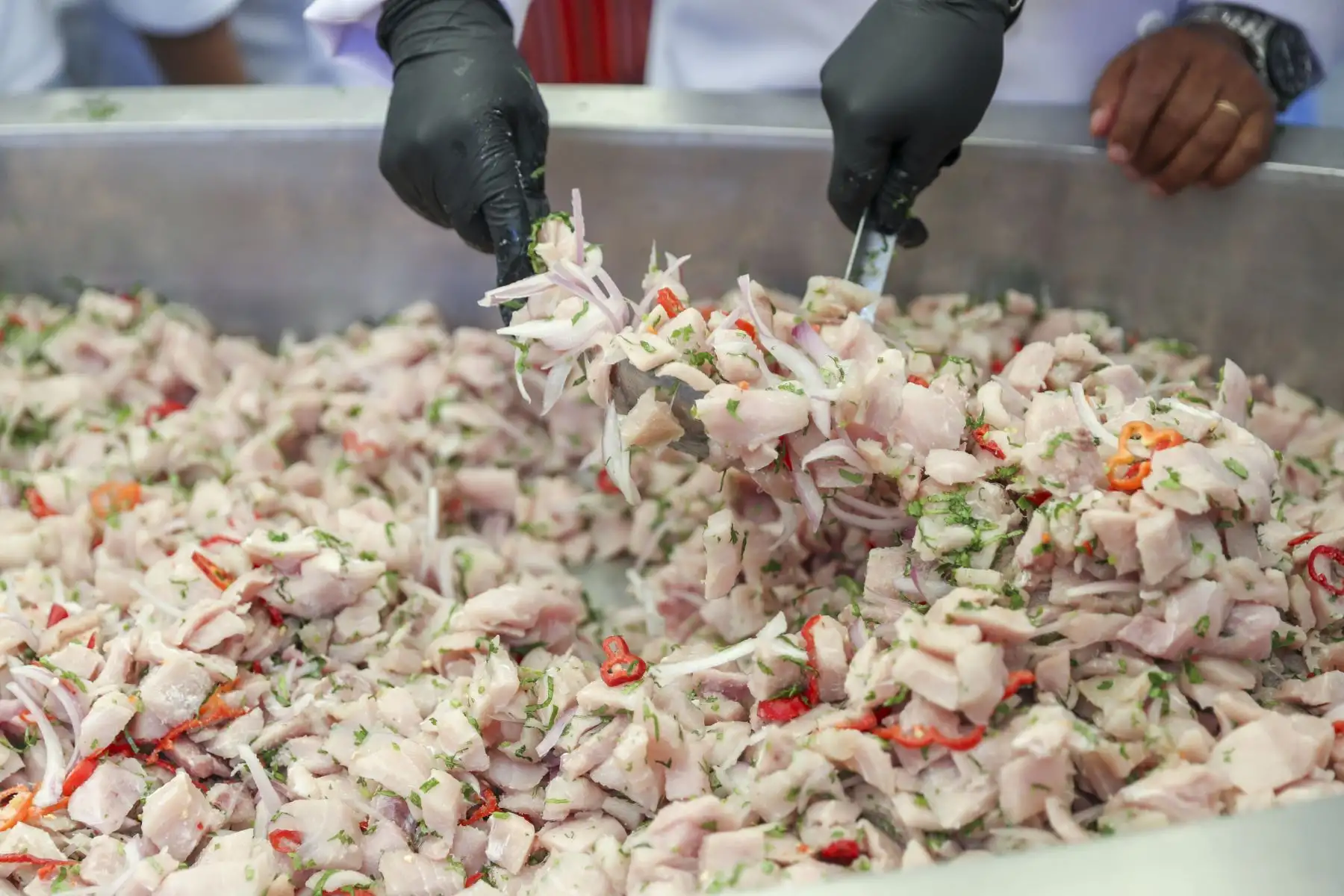 Lanzamiento Oficial de “El Ceviche Más Grande del Perú”, este acontecimiento nacional tendrá lugar en la ciudad de Pisco, busca rendir homenaje a nuestro plato bandera, símbolo de identidad, cultura y orgullo peruano
Foto: ANDINA/Ricardo Cuba