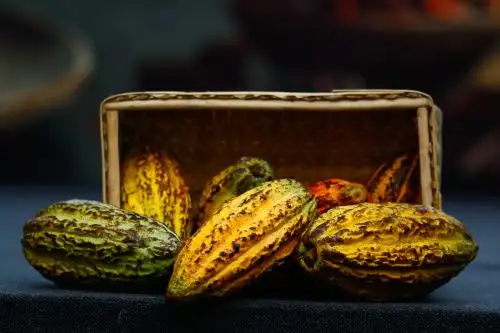 Salón del Cacao y Chocolate Internacional 2026 se realizará del 16 al 19 de julio