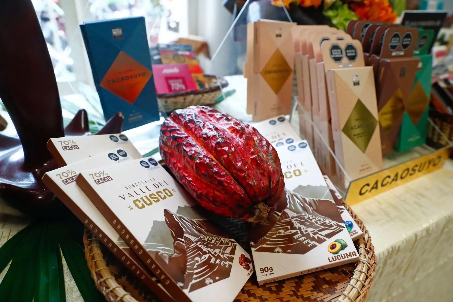 Perú es el segundo mayor exportador de cacao en grano de Latinoamérica y sexto del mundo
