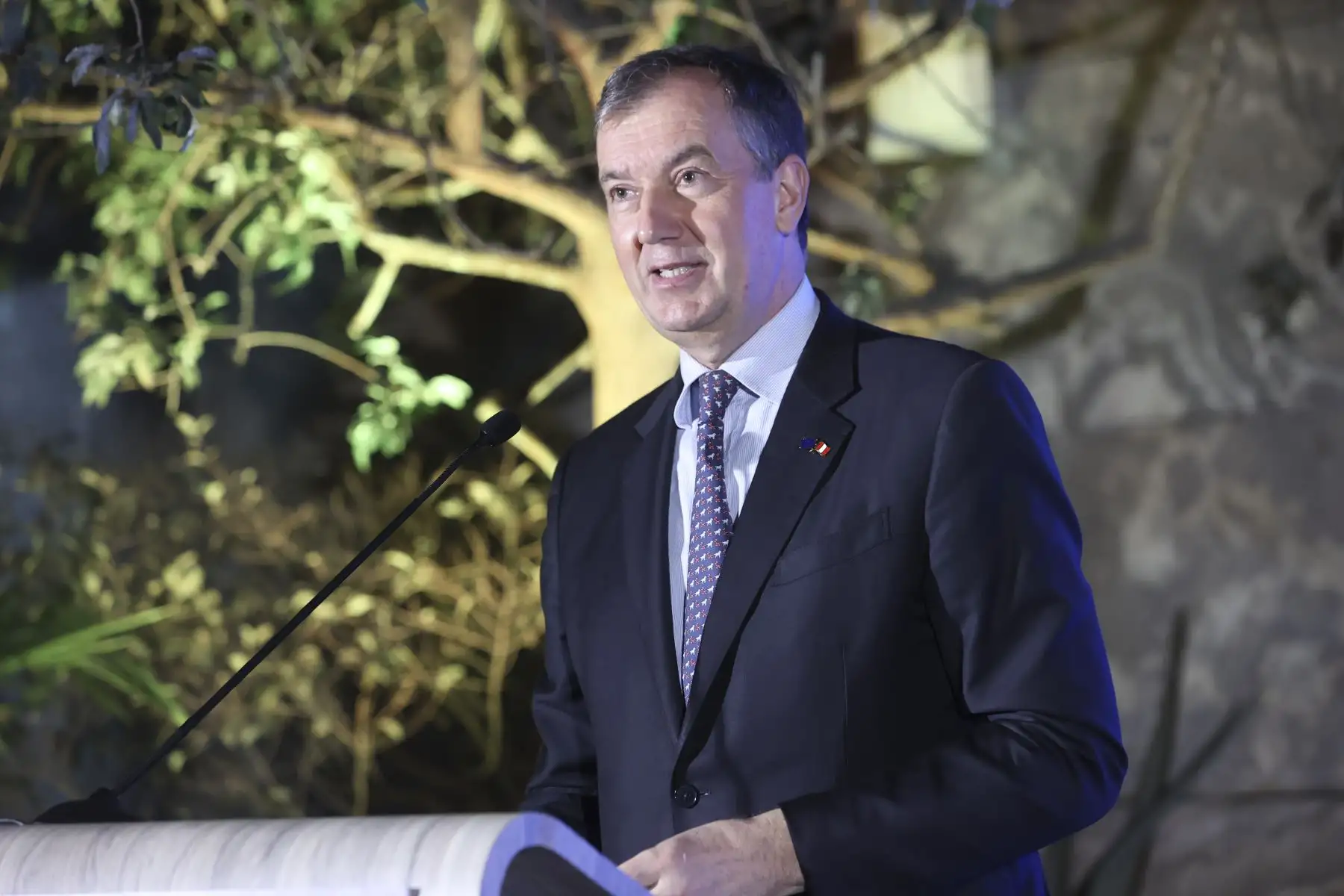 La Unión Europea reconoció a empresas por su compromiso con la sostenibilidad, la igualdad de oportunidades y la inclusión, destacando sus buenas prácticas para promover entornos laborales más responsables, diversos y accesibles. Foto: ANDINA/Melina Mejía