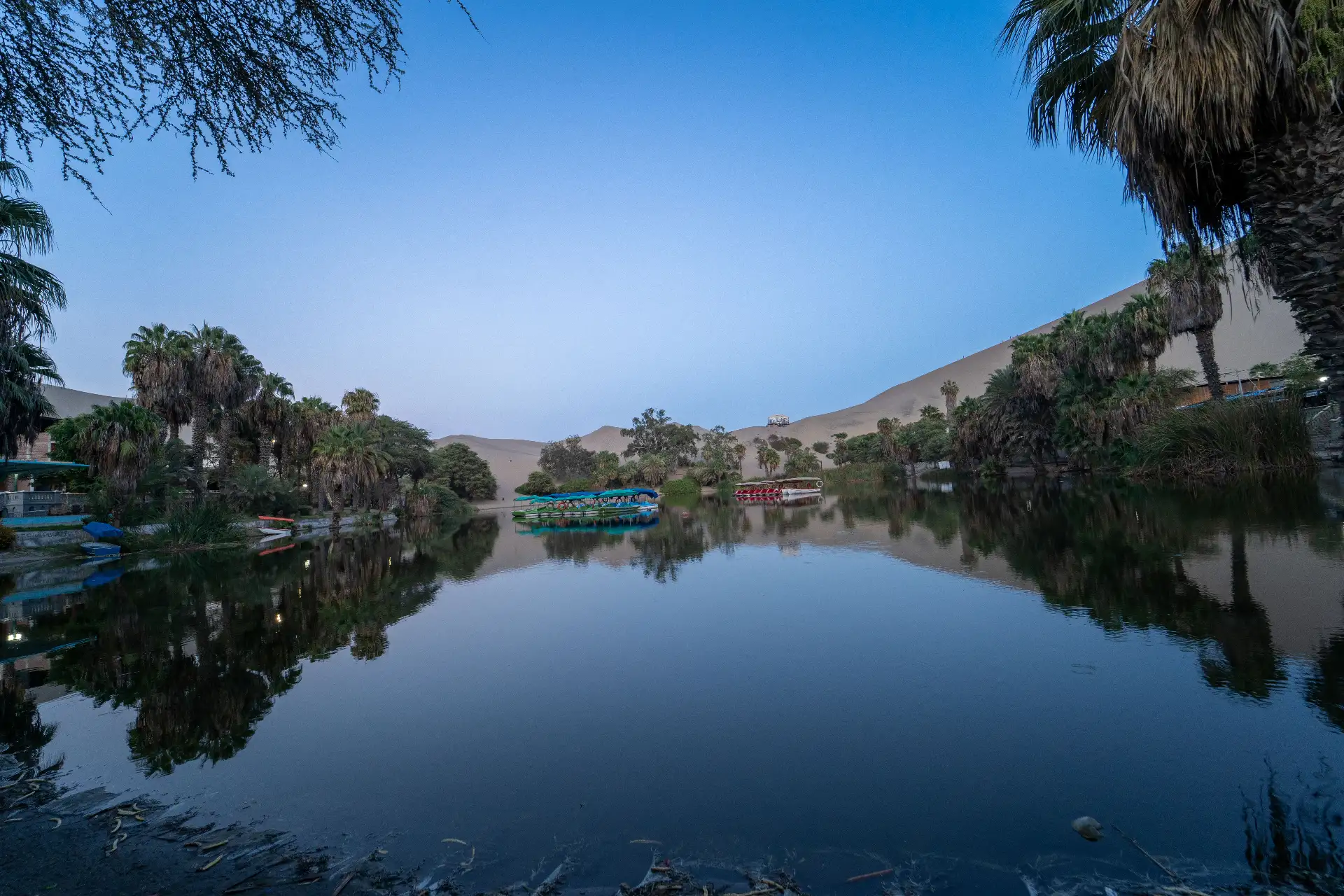La laguna de Huacachina, ubicada a las afueras de la ciudad de Ica, forma un oasis en medio del desierto y es uno de los principales atractivos turísticos de la región. Foto: ANDINA/Genry Bautista.