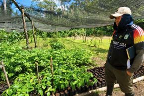 La biodiversidad y la investigación científica pueden convertirse en pilares de una economía verde en la Amazonía. Foto: IIAP/Difusión.