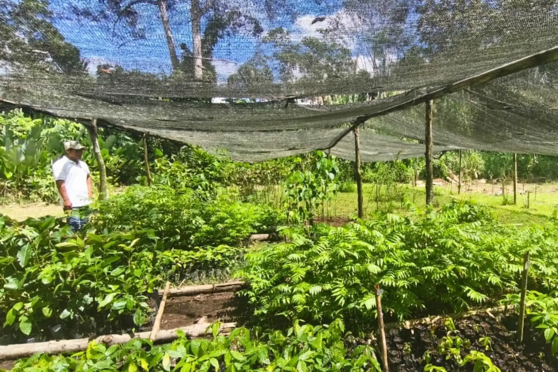 Perú logra la aprobación de su primera norma ISO internacional sobre biodiversidad