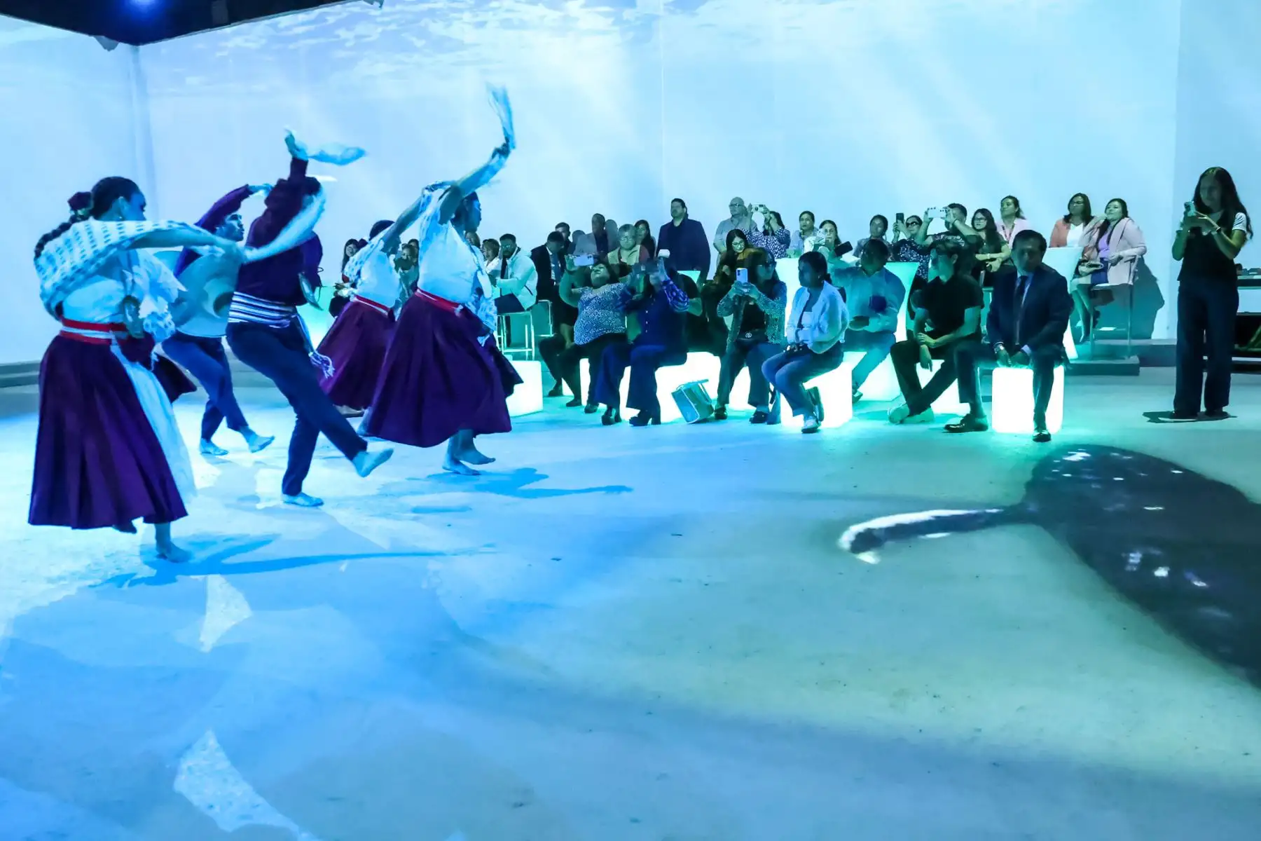 La jornada de lanzamiento incluyó presentaciones artísticas y una experiencia inmersiva para acercar al público al recorrido migratorio de las ballenas jorobadas. Foto: ANDINA/Melina Mejía.