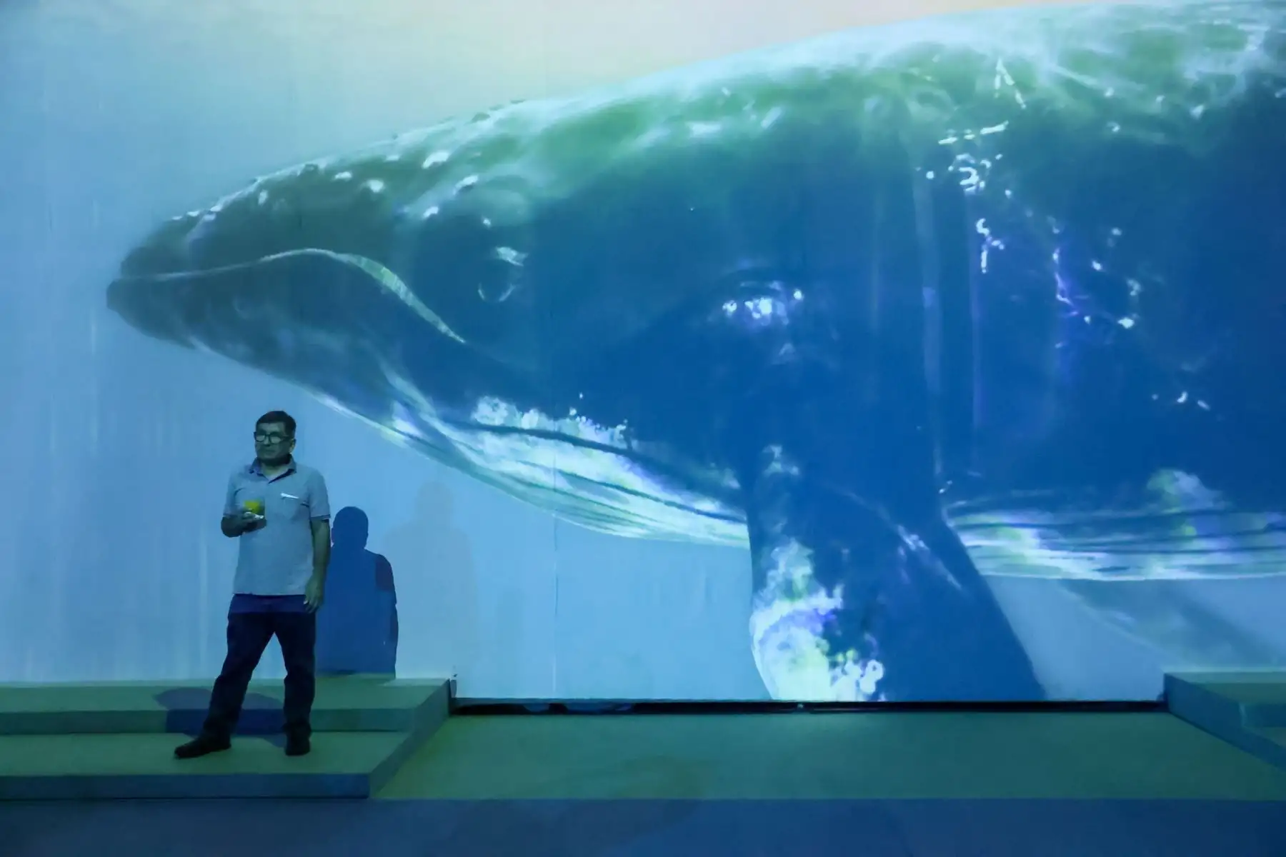 PROMPERÚ realizó el lanzamiento oficial de la campaña “Temporada de Avistamiento de Ballenas 2026”, que promueve los viajes a Piura y Tumbes entre julio y octubre, periodo en el que las ballenas jorobadas llegan al norte peruano para reproducirse y dar a luz a sus crías. La iniciativa busca impulsar el turismo interno, la conservación de los ecosistemas marino-costeros y el desarrollo de las economías locales. Foto: ANDINA/Melina Mejía.
