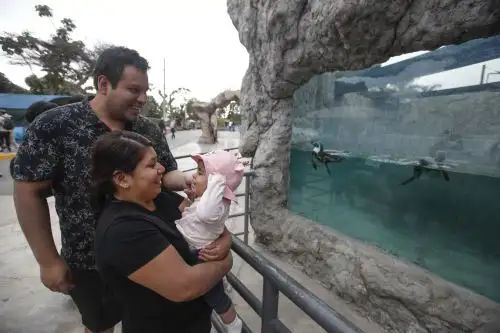 Día del Padre: papás celebran en familia en el Parque de las Leyendas