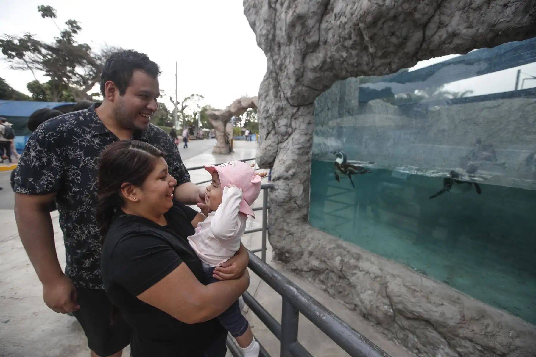 Familias limeñas celebran el Día del Padre en el Parque de las Leyendas en el distrito de San Miguel. Foto: ANDINA/Eddy Ramos