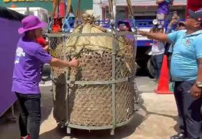 Un impresionante juane, el plato emblemático amazónico, de 743 kilos fue elaborado en Iquitos y obtuvo el récord Guinness de ser el juane más grande del mundo.