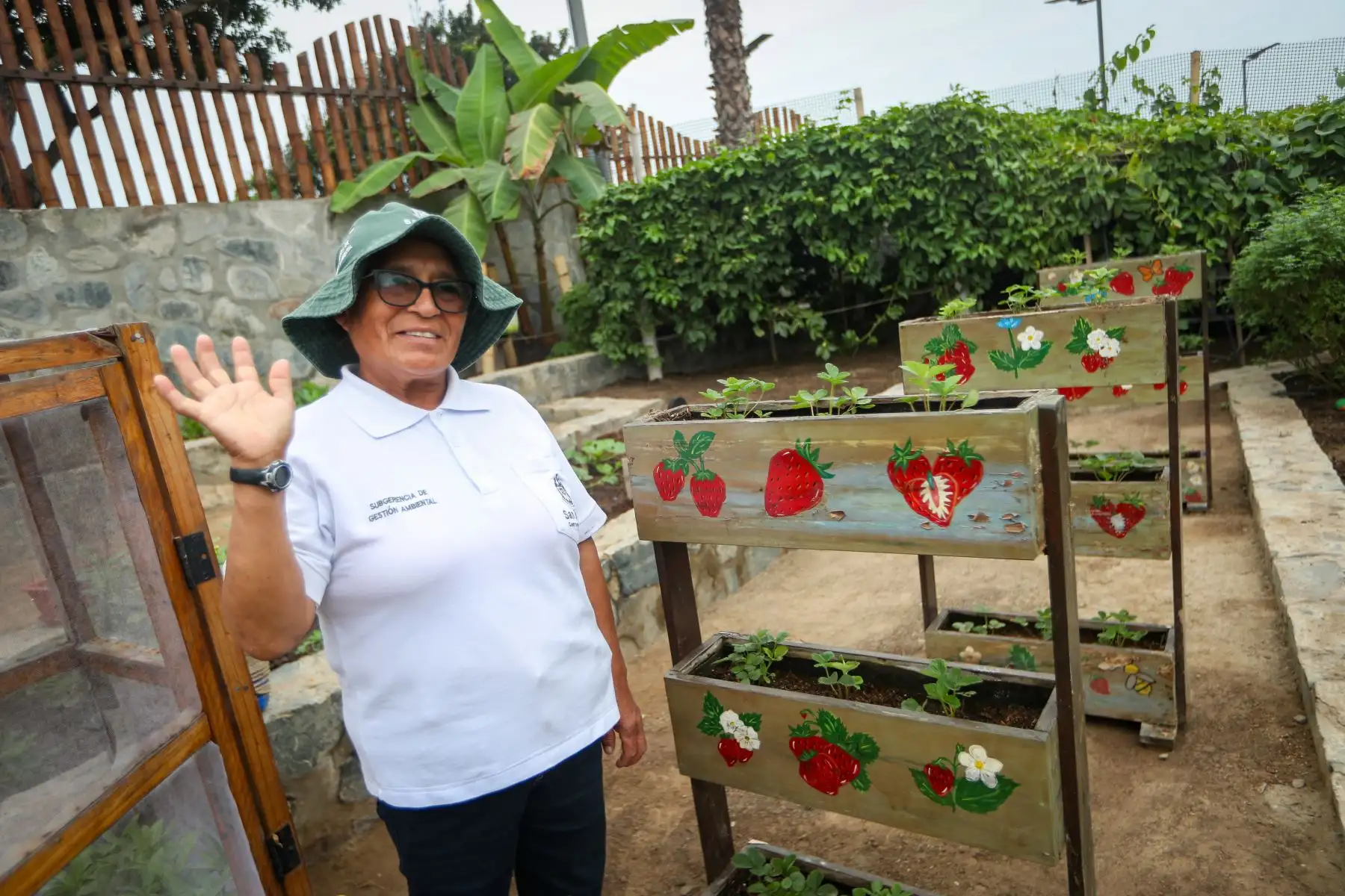Una vecina participó en la jornada realizada por el Día del Campesino y recorrió los espacios destinados al cultivo de hortalizas y hierbas aromáticas. Foto: ANDINA/Ricardo Cuba.