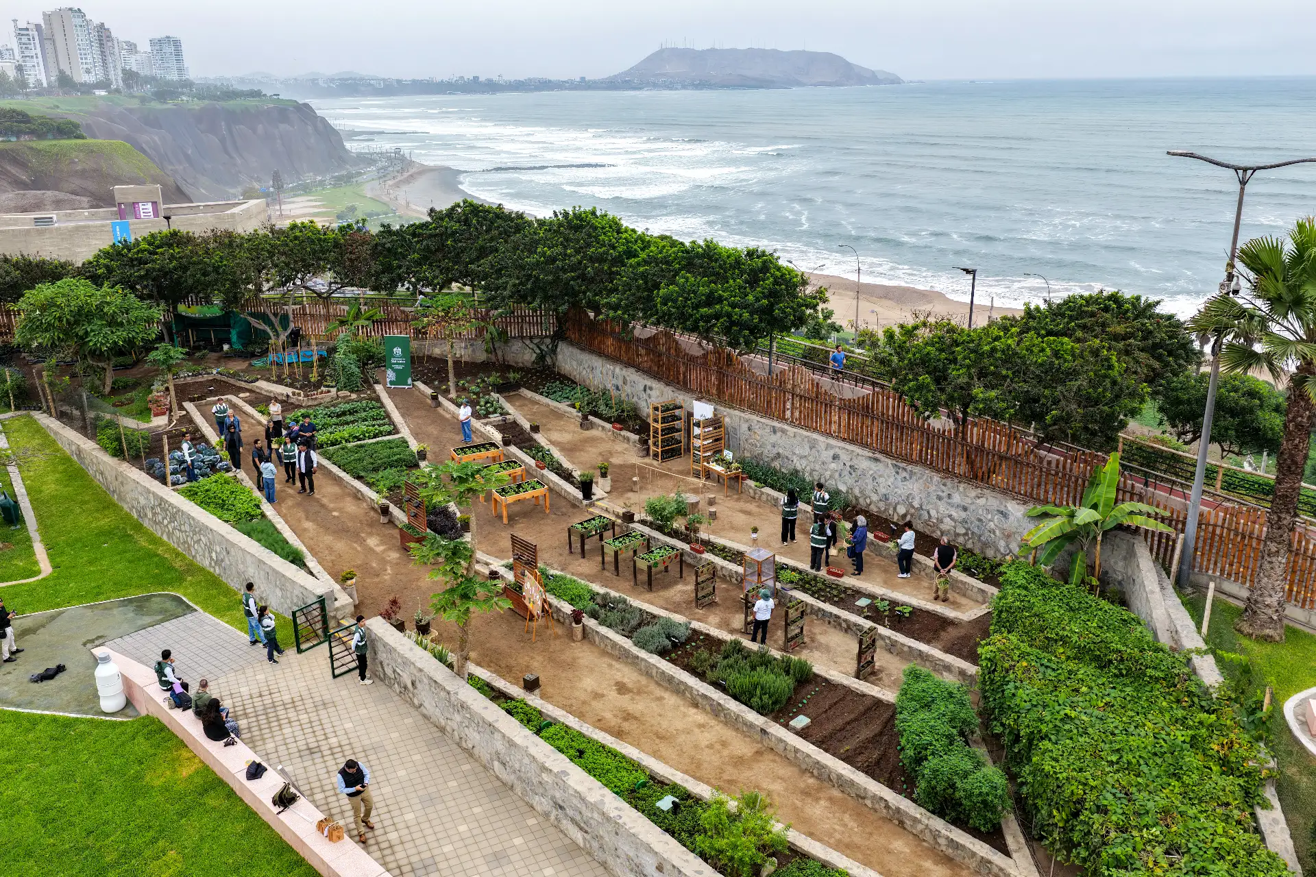 Vista del Biohuerto Municipal de San Isidro, ubicado en el Parque Bicentenario y destinado a actividades de agricultura urbana y educación ambiental. Foto: ANDINA/Ricardo Cuba.