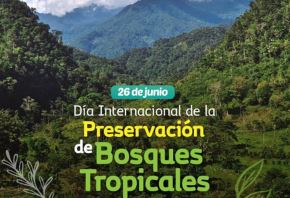 El Día Internacional de la Preservación de los Bosques Tropicales se conmemora cada 26 de junio y constituye una efeméride que fomenta acciones sostenibles para preservar y aprovechar sosteniblemente este valioso ecosistema. 