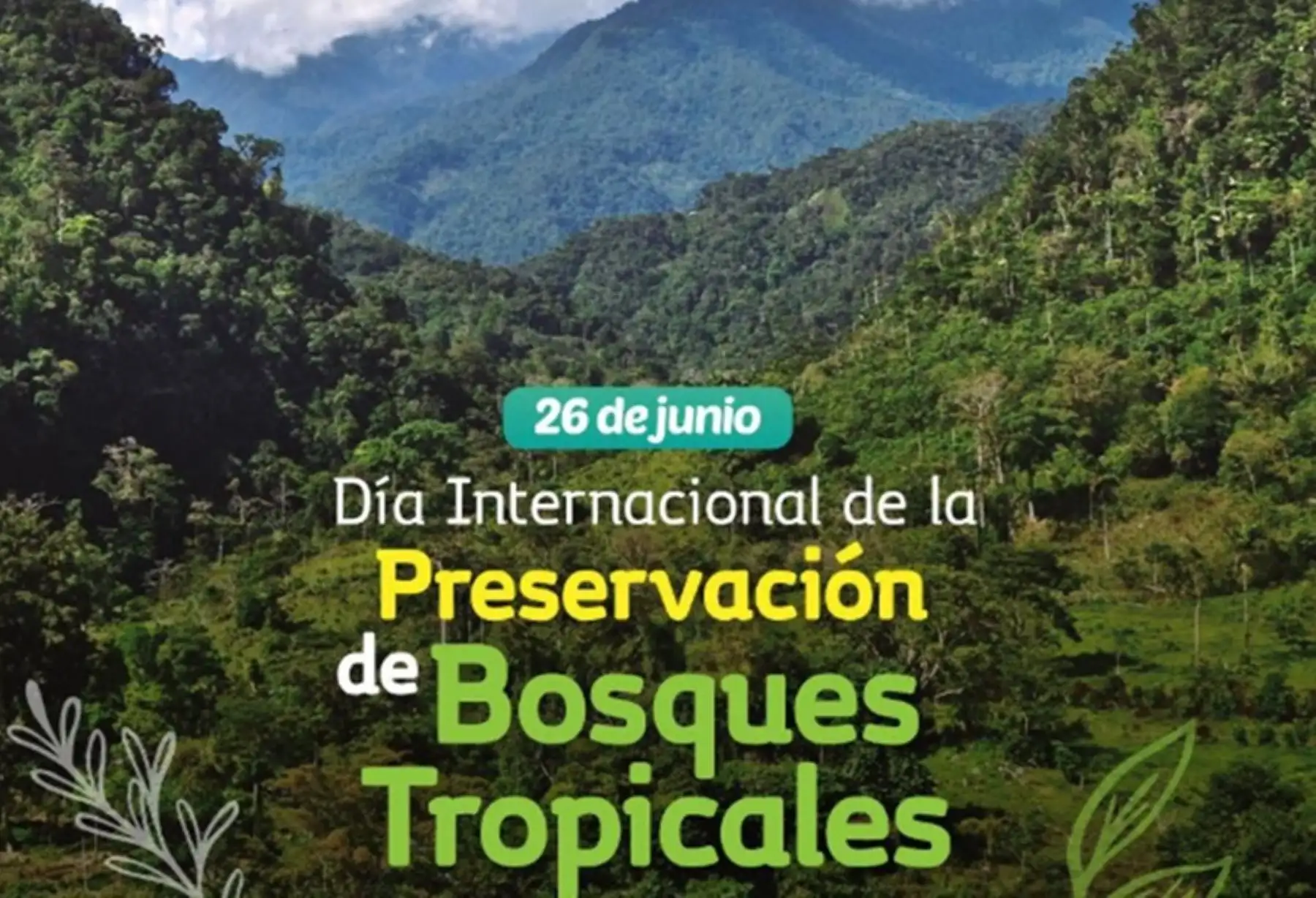 El Día Internacional de la Preservación de los Bosques Tropicales se conmemora cada 26 de junio y constituye una efeméride que fomenta acciones sostenibles para preservar y aprovechar sosteniblemente este valioso ecosistema. 