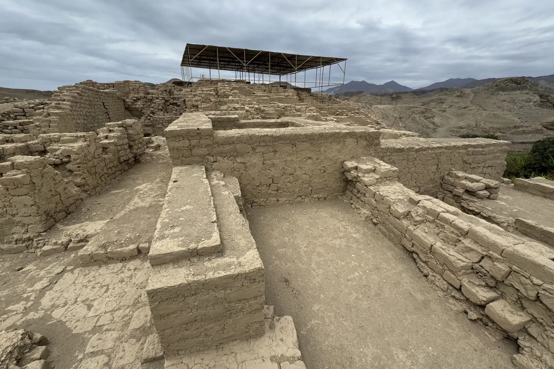 El hallazgo de restos de perros peruanos sin pelo en el complejo arqueológico de Castillo de Huarmey, en Áncash, constituye una de las evidencias más antiguas y mejor preservadas de esta raza emblemática del Perú. Foto: Difusión