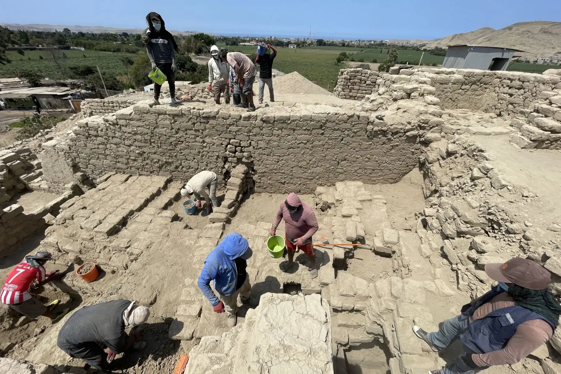 El hallazgo de restos de perros peruanos sin pelo en el complejo arqueológico de Castillo de Huarmey, en Áncash, constituye una de las evidencias más antiguas y mejor preservadas de esta raza emblemática del Perú. Foto: Difusión