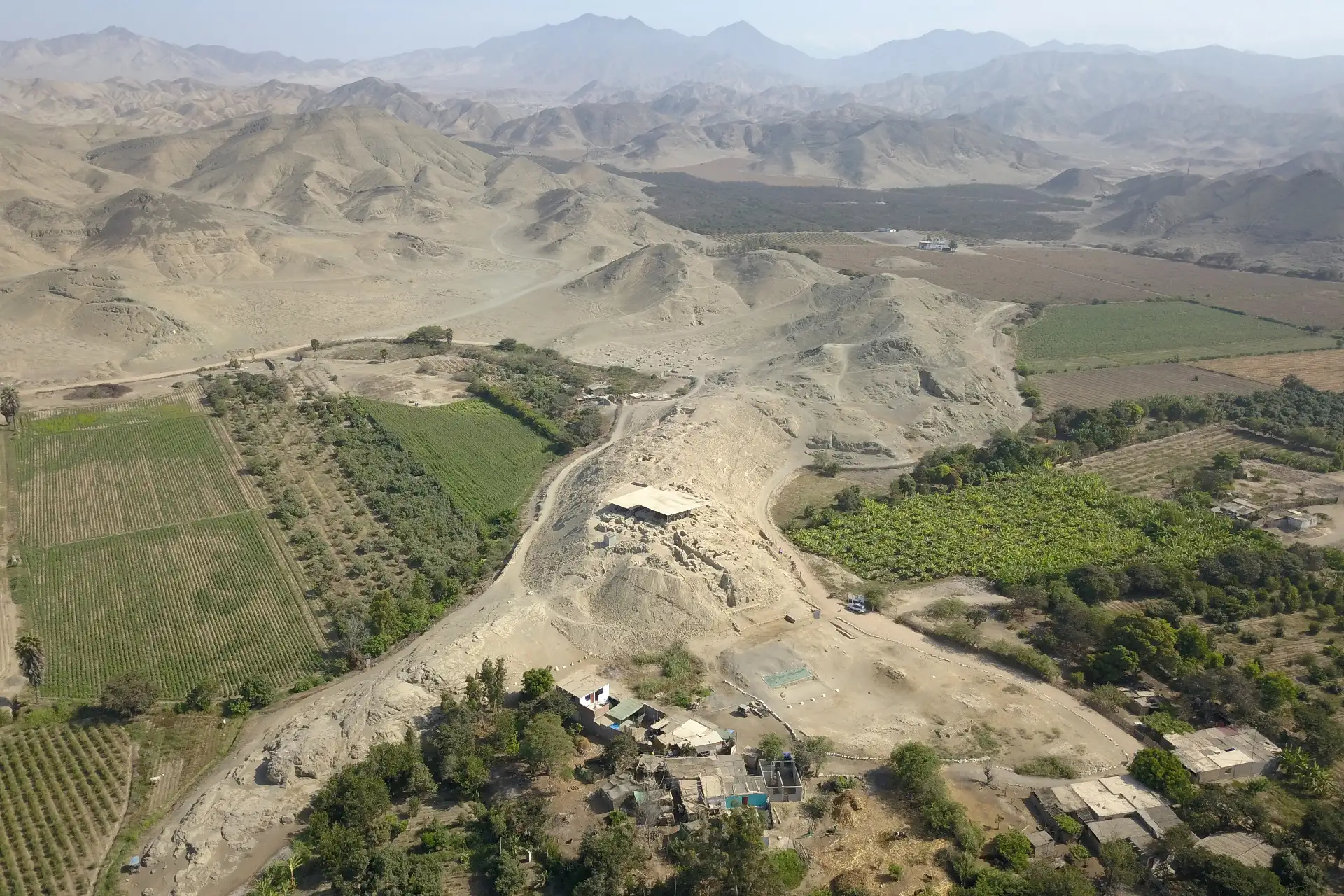 El hallazgo de restos de perros peruanos sin pelo en el complejo arqueológico de Castillo de Huarmey, en Áncash, constituye una de las evidencias más antiguas y mejor preservadas de esta raza emblemática del Perú. Foto: Difusión