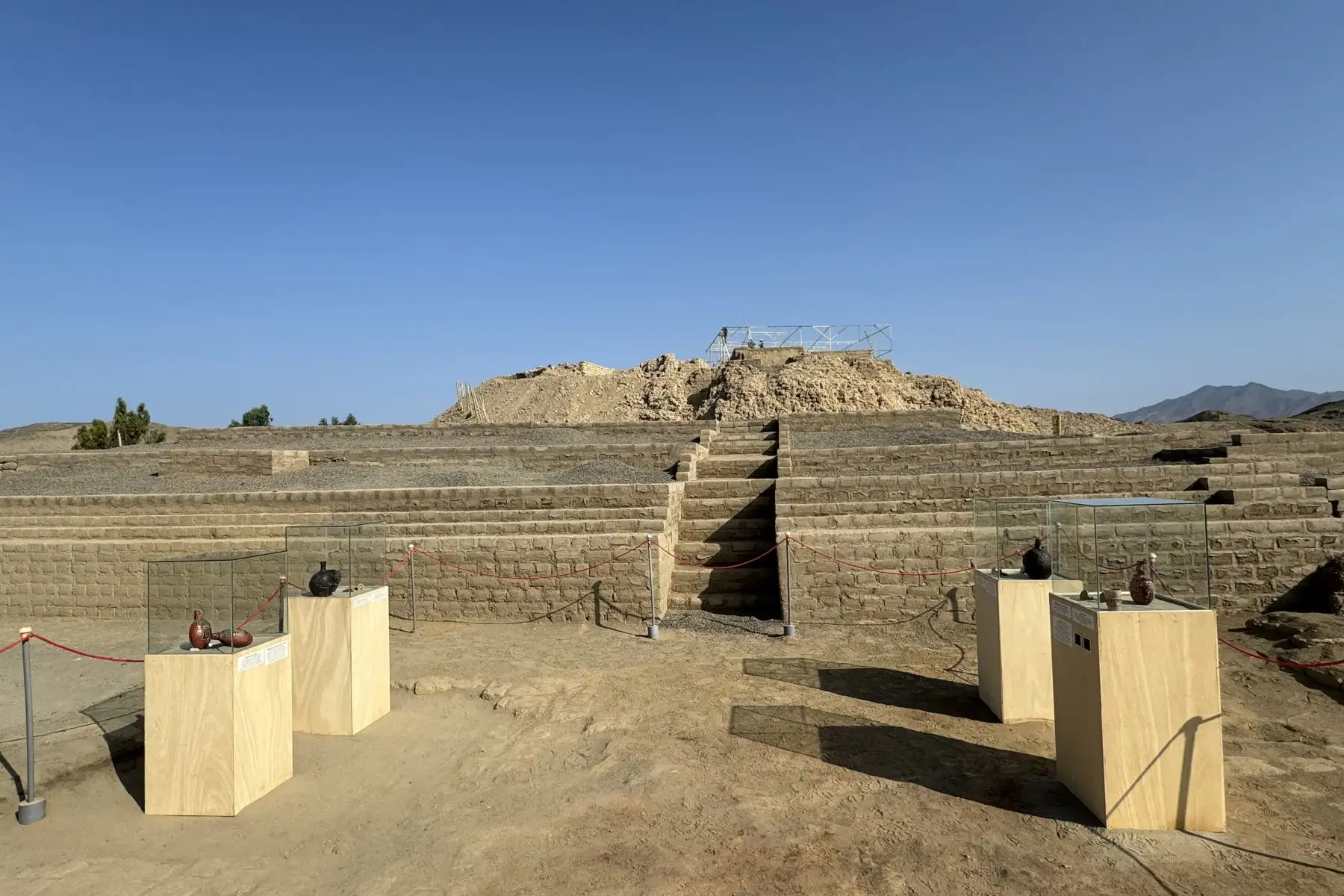 El hallazgo de restos de perros peruanos sin pelo en el complejo arqueológico de Castillo de Huarmey, en Áncash, constituye una de las evidencias más antiguas y mejor preservadas de esta raza emblemática del Perú. Foto: Difusión