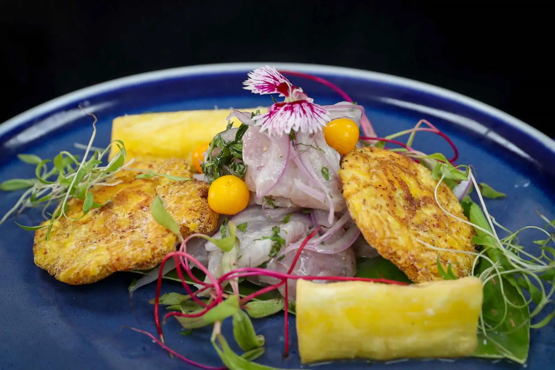 El Centro de Formación en Turismo (Cenfotur) presentó la muestra gastronómica “La Ruta del Ceviche: un viaje por los sabores del Perú”, en el marco del Día Nacional del Ceviche. Chefs docentes y estudiantes elaboraron versiones con trucha y doncella, acompañadas de insumos andinos y amazónicos como papa, mote, cancha serrana, yuca, plátano bellaco y ají charapita. Foto: ANDINA/Ricardo Cuba.