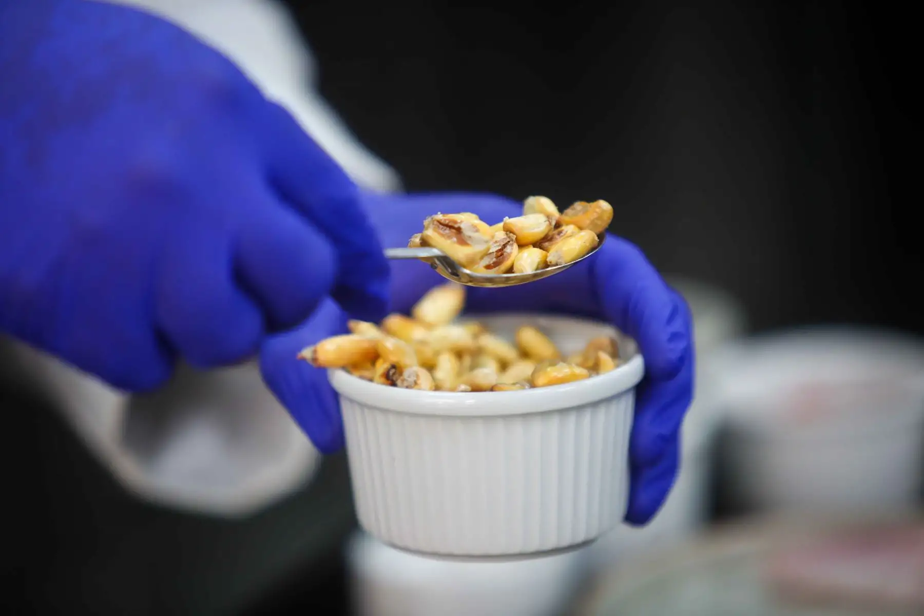 Cancha serrana fue incorporada como acompañamiento en una de las versiones de ceviche elaboradas por chefs y estudiantes del Cenfotur. Foto: ANDINA/Ricardo Cuba.