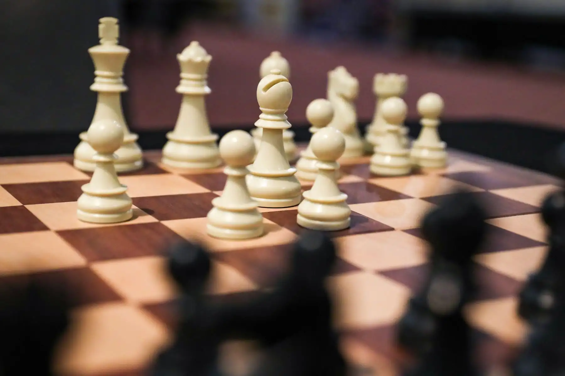 La fiesta del intelecto: Tras finalizar las 67 horas de competencia ininterrumpida, el World Chess Marathon 2026 dejará una huella imborrable en la historia del ajedrez y en los récords Guinness. Foto: ANDINA/Ricardo Cuba