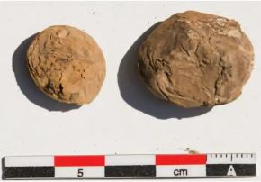 Los arqueólogos hallaron en buen estado dos papas liofilizadas hace 500 años en el sitio arqueológico Tambo Viejo, ubicado en el valle de Acarí, región Arequipa. Foto: Journal of Field Archaeology
25/06/2026   Los arqueólogos hallaron en buen estado dos papas liofilizadas hace 500 años en el sitio arqueológico Tambo Viejo, ubicado en el valle de Acarí, región Arequipa. Foto: Journal of Field Archaeology