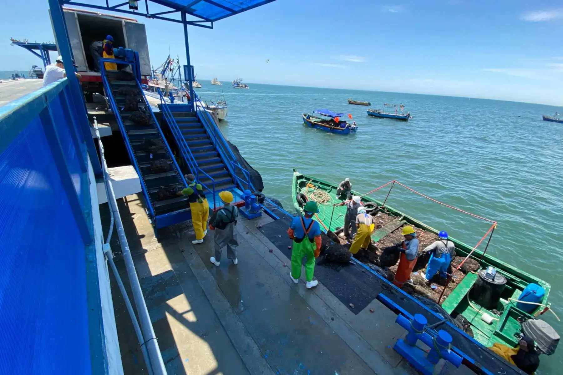 Sanipes entregó 30 habilitaciones sanitarias a pescadores de Arequipa