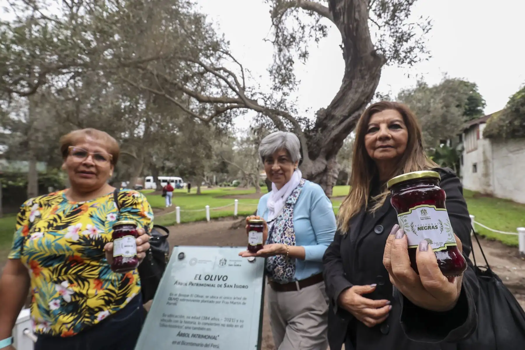 Participantes de la actividad destacaron la importancia de reconocer los árboles patrimoniales como parte de la identidad y la memoria de la ciudad. Foto: ANDINA/Juan Carlos Guzmán.