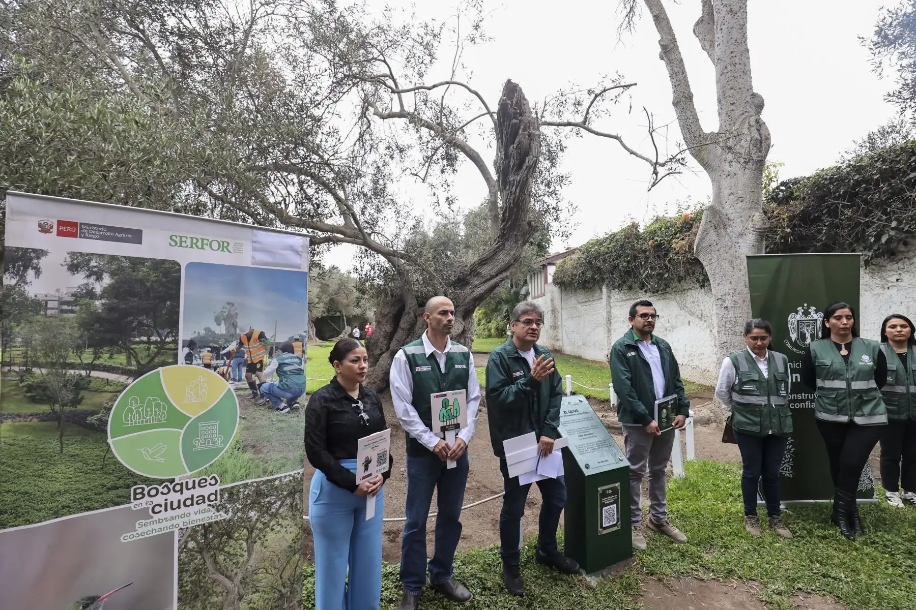 Personal del Serfor explicó a los asistentes el valor de los árboles patrimoniales y la necesidad de promover su conservación en los espacios urbanos. Foto: ANDINA/Juan Carlos Guzmán.
