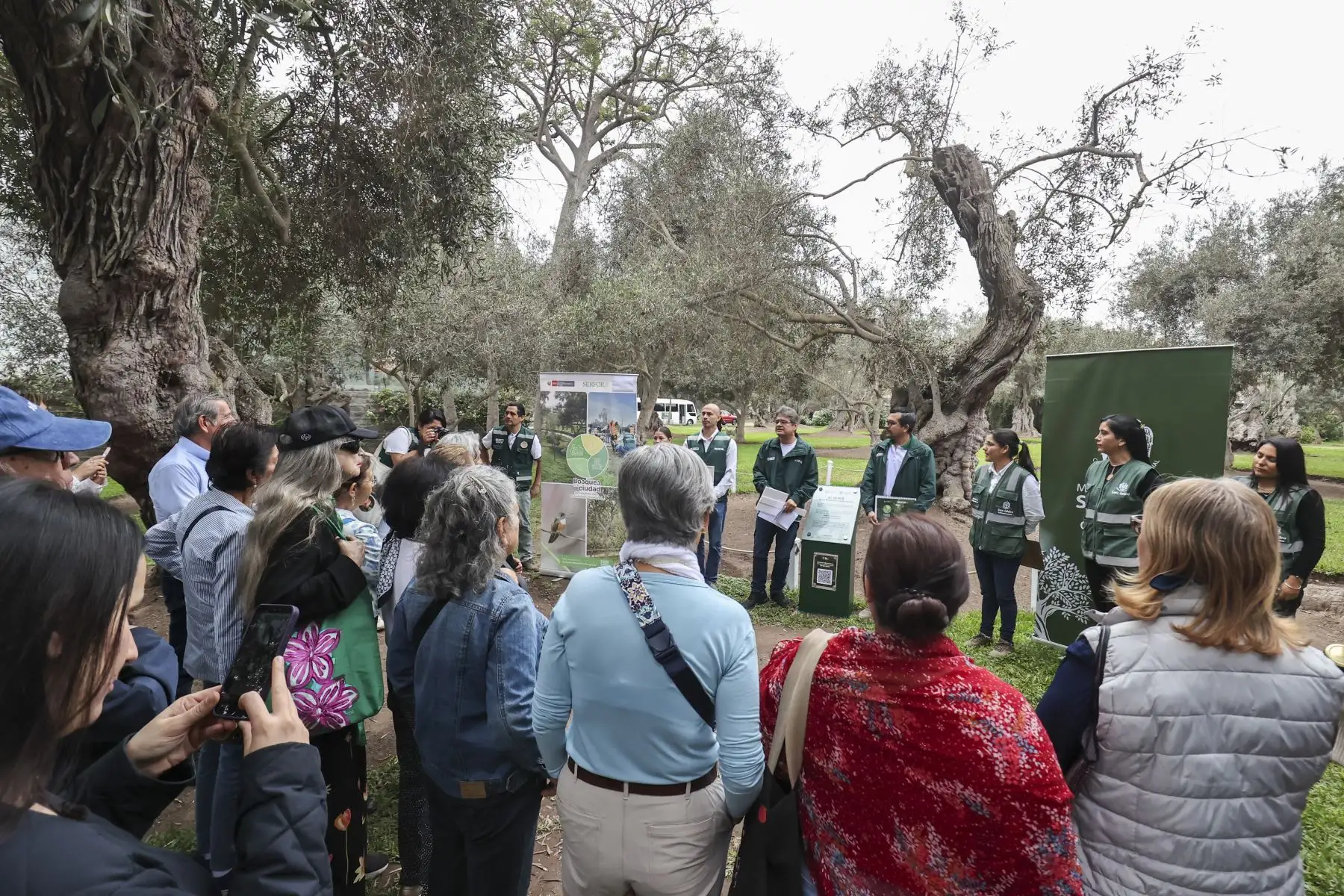 Vecinos de San Isidro recorrieron el circuito ecoturístico para conocer la importancia histórica, ambiental y cultural de los árboles patrimoniales. Foto: ANDINA/Juan Carlos Guzmán.