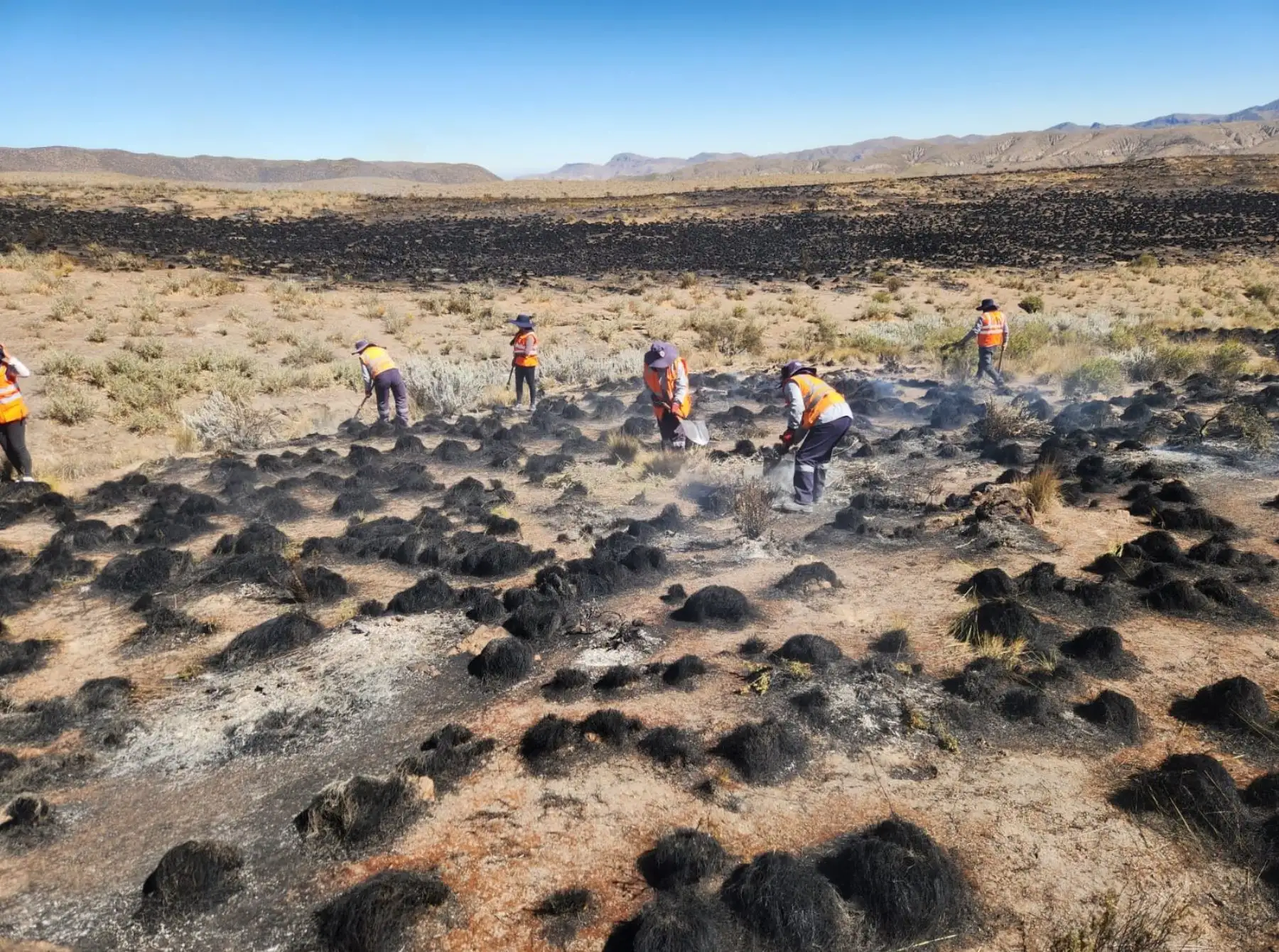 Ejército del Perú se suma a la batalla contra incendio forestal en Arequipa