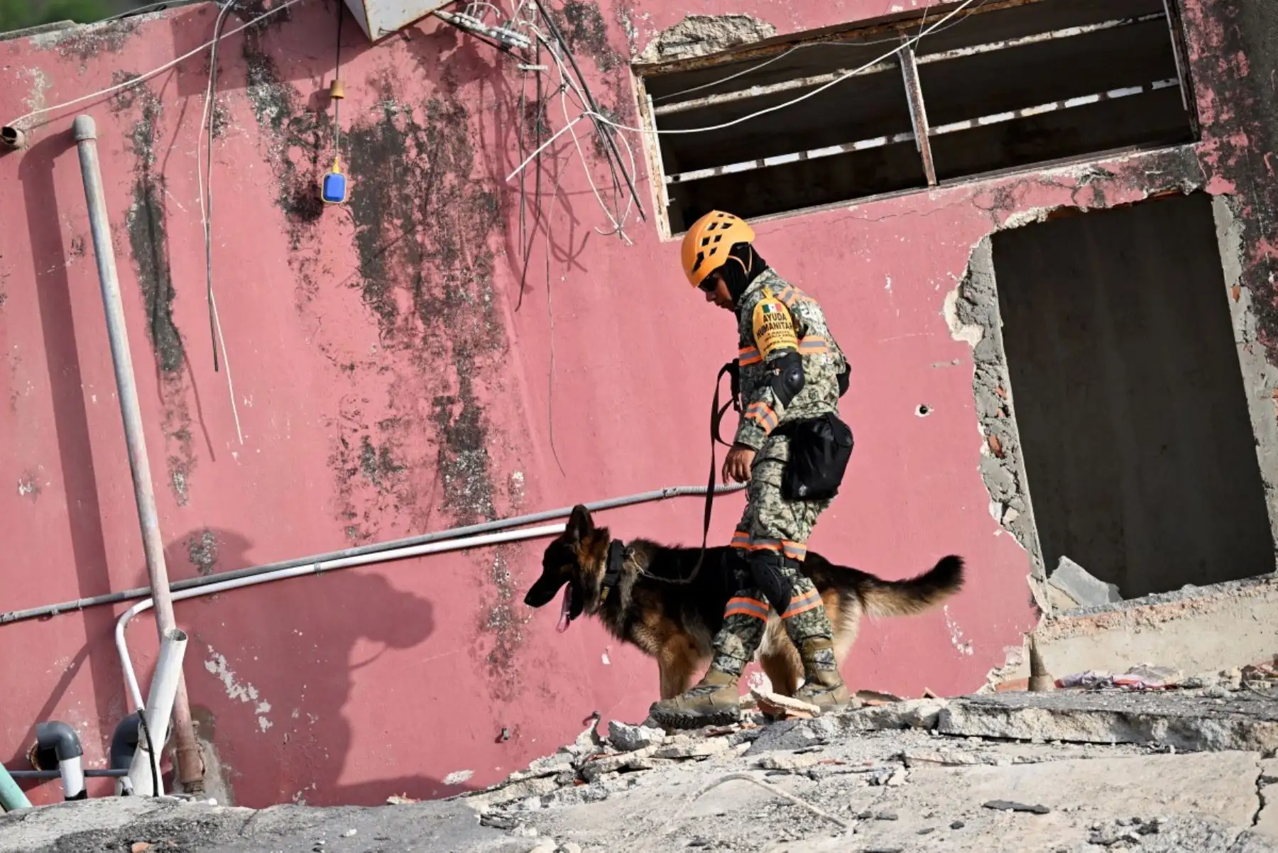 Un miembro del ejército mexicano busca posibles víctimas con un perro de rescate entre los escombros de un edificio derrumbado tras los terremotos en Caraballeda, estado de La Guaira, Venezuela, el 26 de junio de 2026. Foto: AFP