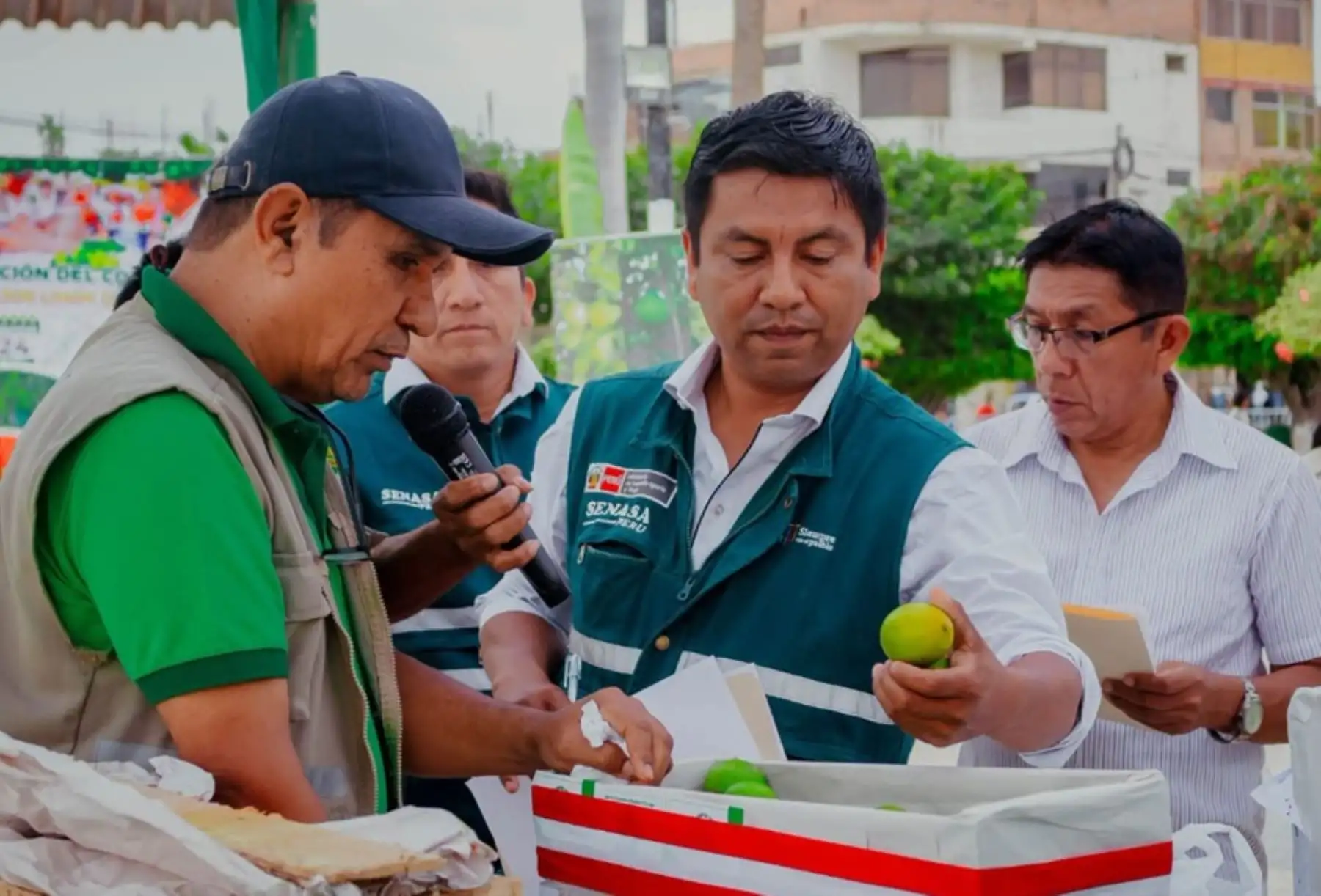 Olmos elige al mejor limón en tradicional concurso de excelencia citrícola
