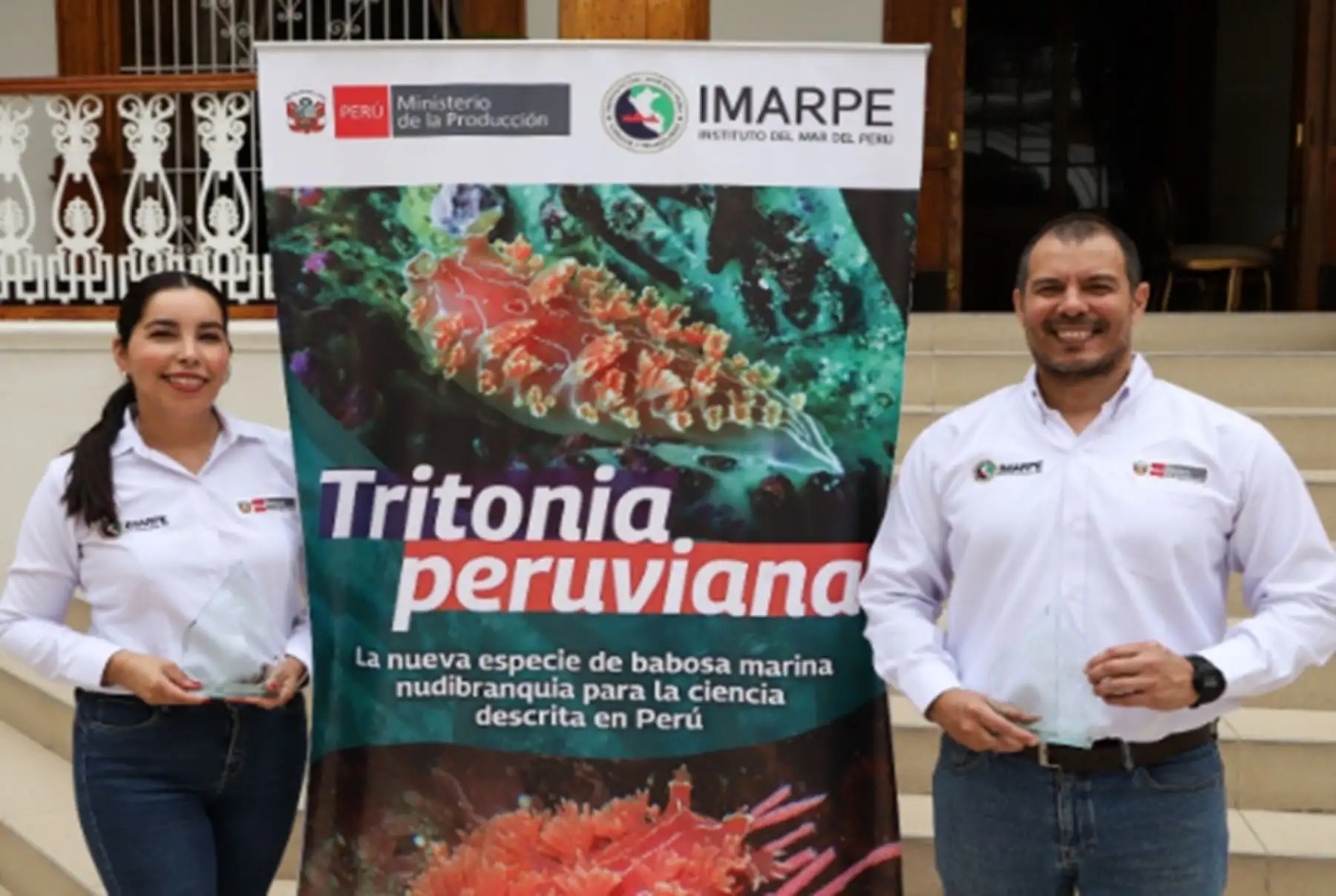 Científicos peruanos descubren nueva especie de babosa marina en aguas del Perú