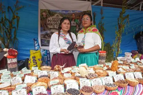 Por segundo día consecutivo se desarrolla la Expo Perú " Los Andes 2026 " en Huancavelica