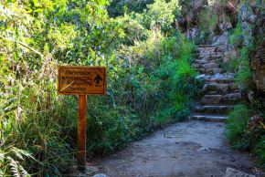 El Ministerio de Cultura, a través de la Dirección Desconcentrada de Cultura (DDC) de Cusco, culminó los trabajos especializados de conservación y mantenimiento en la montaña Huayna Picchu, permitiendo su reapertura al público desde el 1 de julio, en coincidencia con el inicio de la temporada alta de visitas.