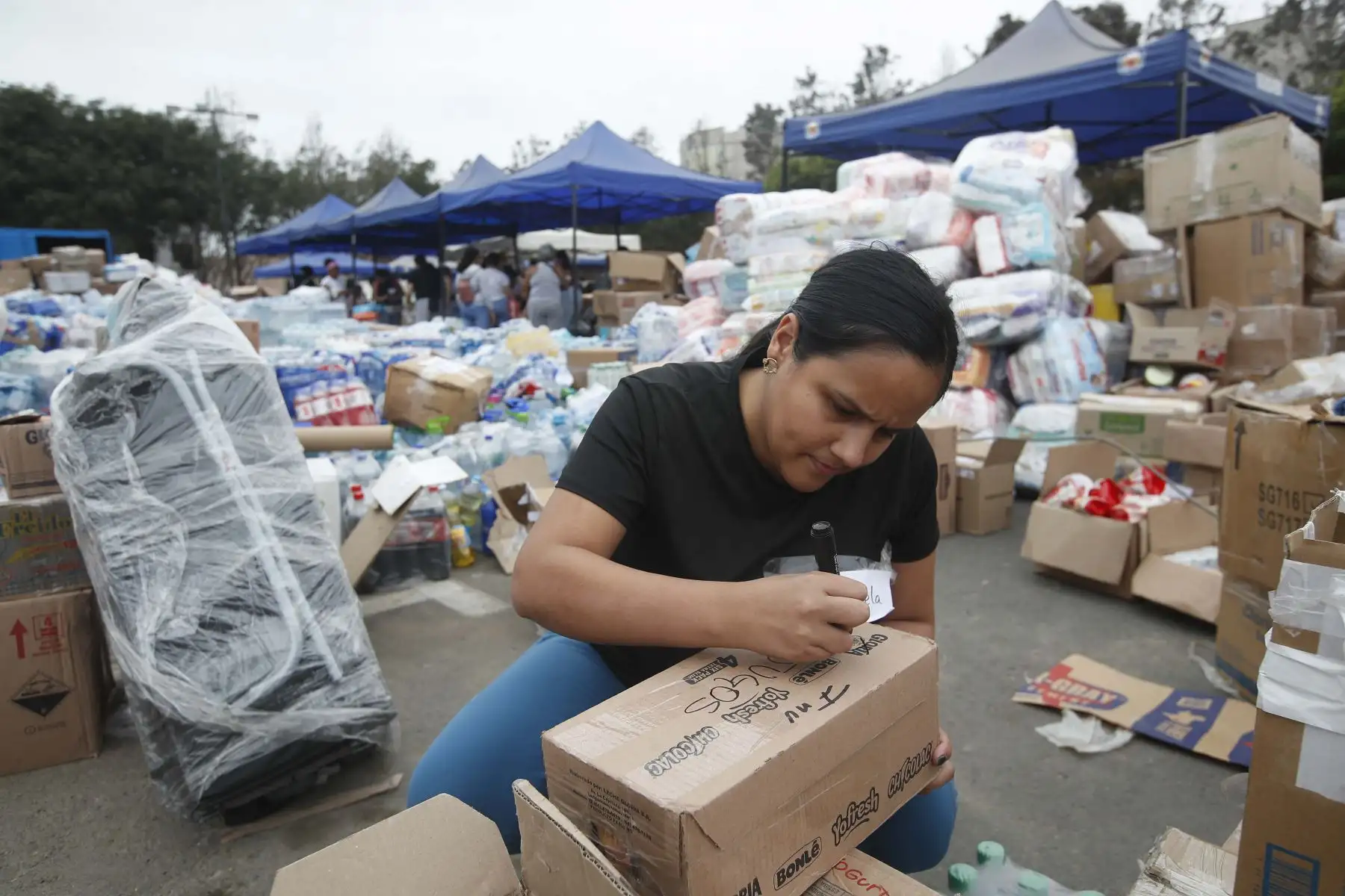 Ciudadanos peruanos y venezolanos se solidarizan con los damnificados venezolanos tras el terremoto en Venezuela. Voluntarios recaudan viveres, medicina y alimentos no perecibles en el parque ecológico Voces del Clima en el distrito de Surco. Foto: ANDINA/ Eddy Ramos