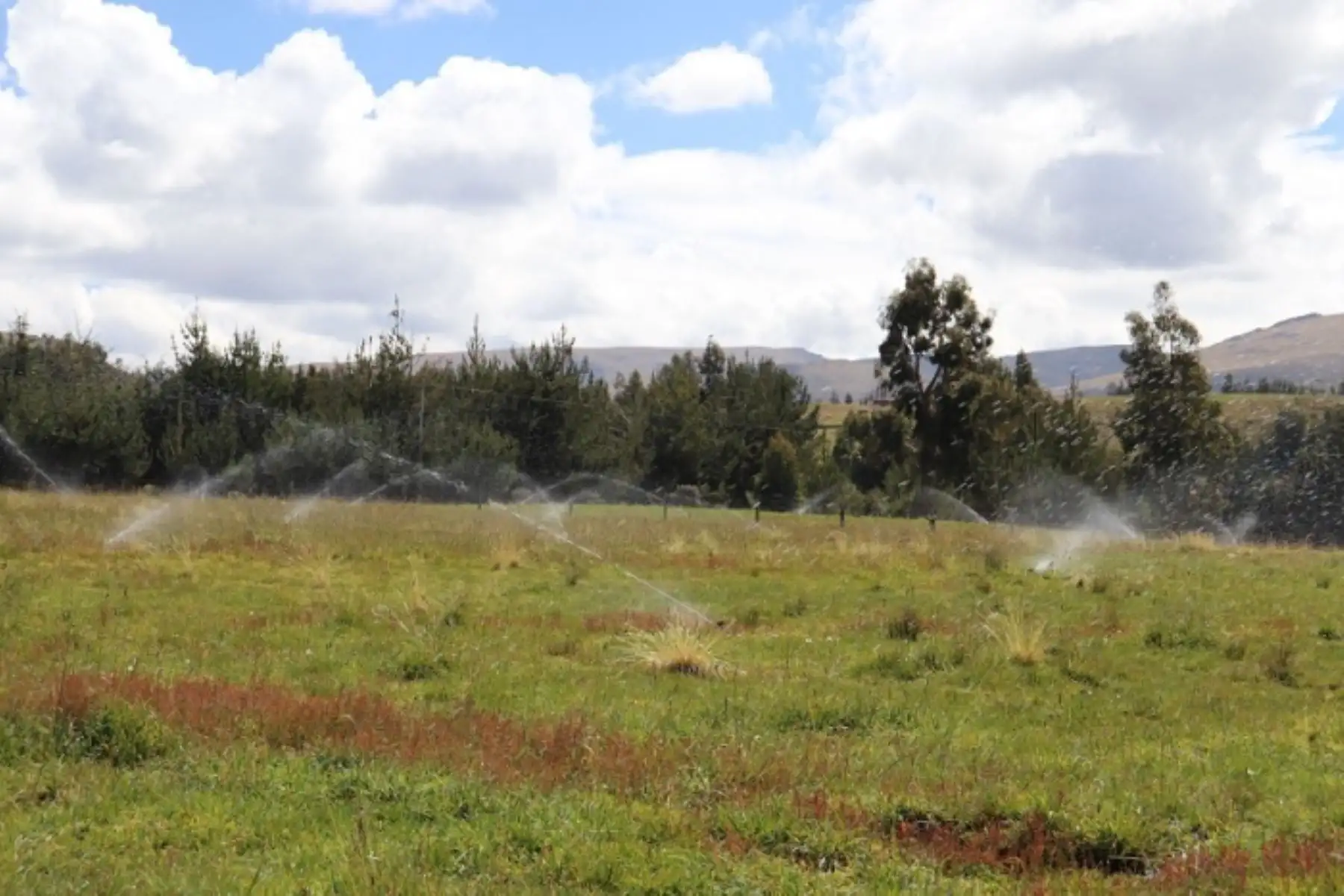 Midagri impulsa modernización de agro con ejecución de ocho proyectos de riego tecnificado