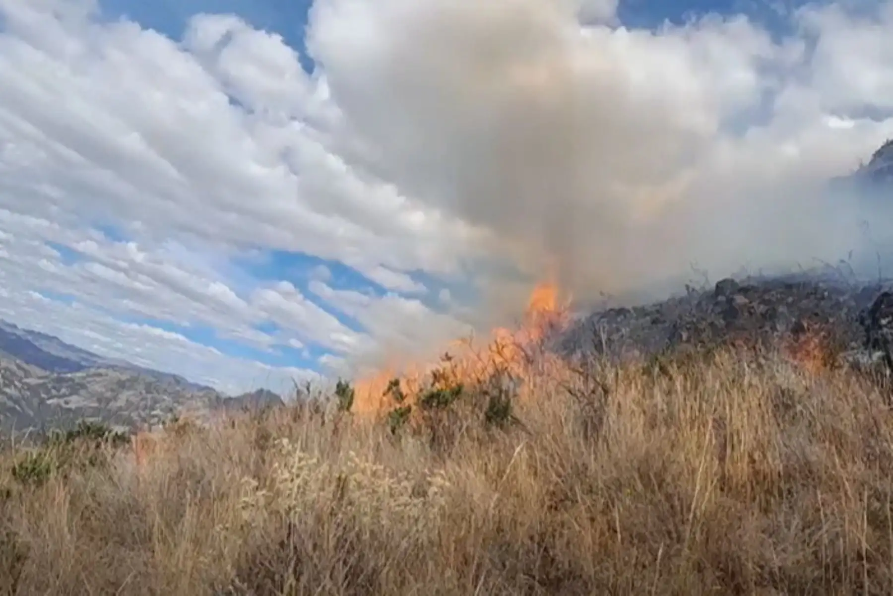 Incendio forestal consume 30 hectáreas de vegetación en La Libertad