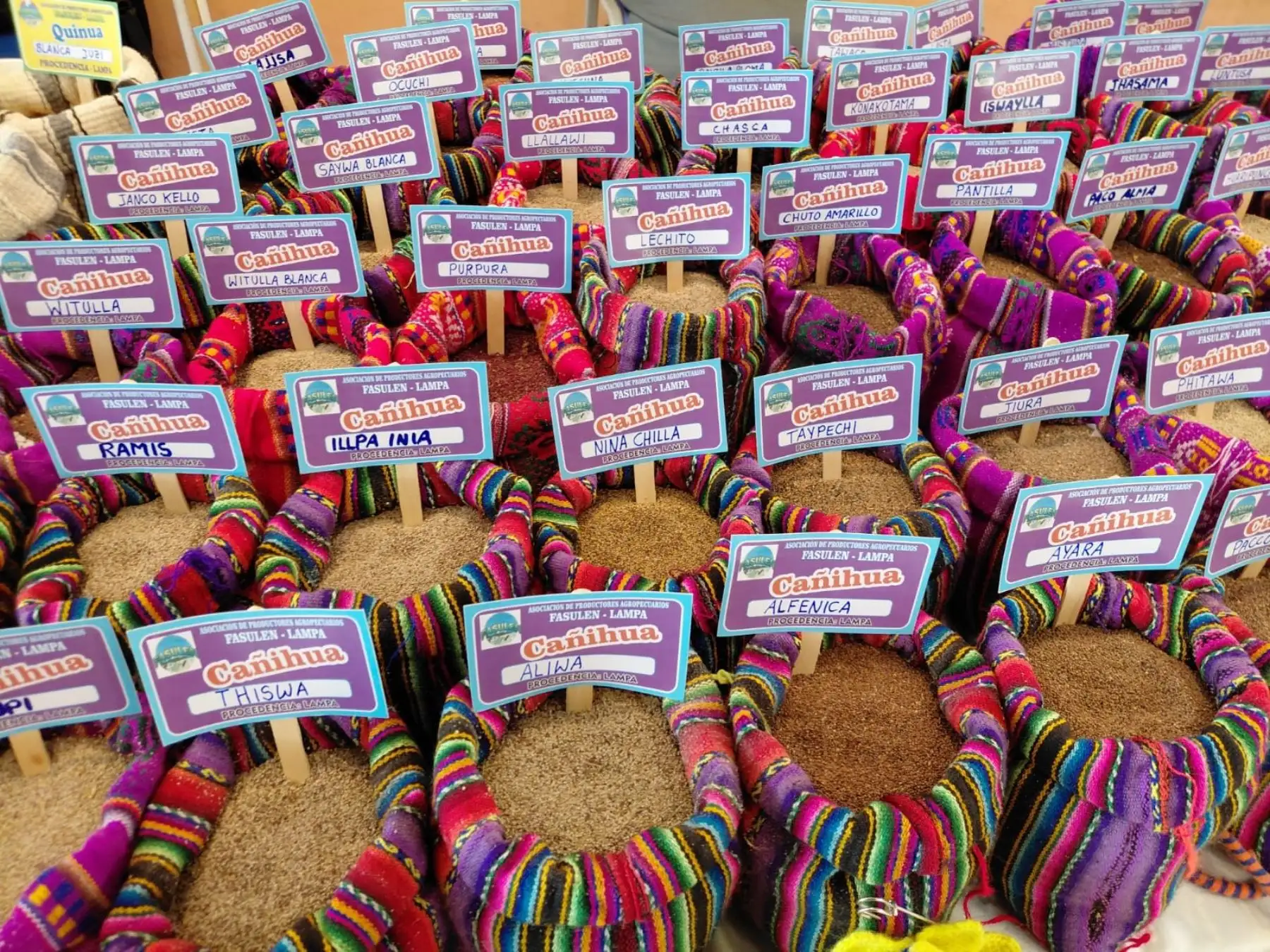 Fiestas Patrias: Indecopi protege la innovación y el legado de los granos andinos