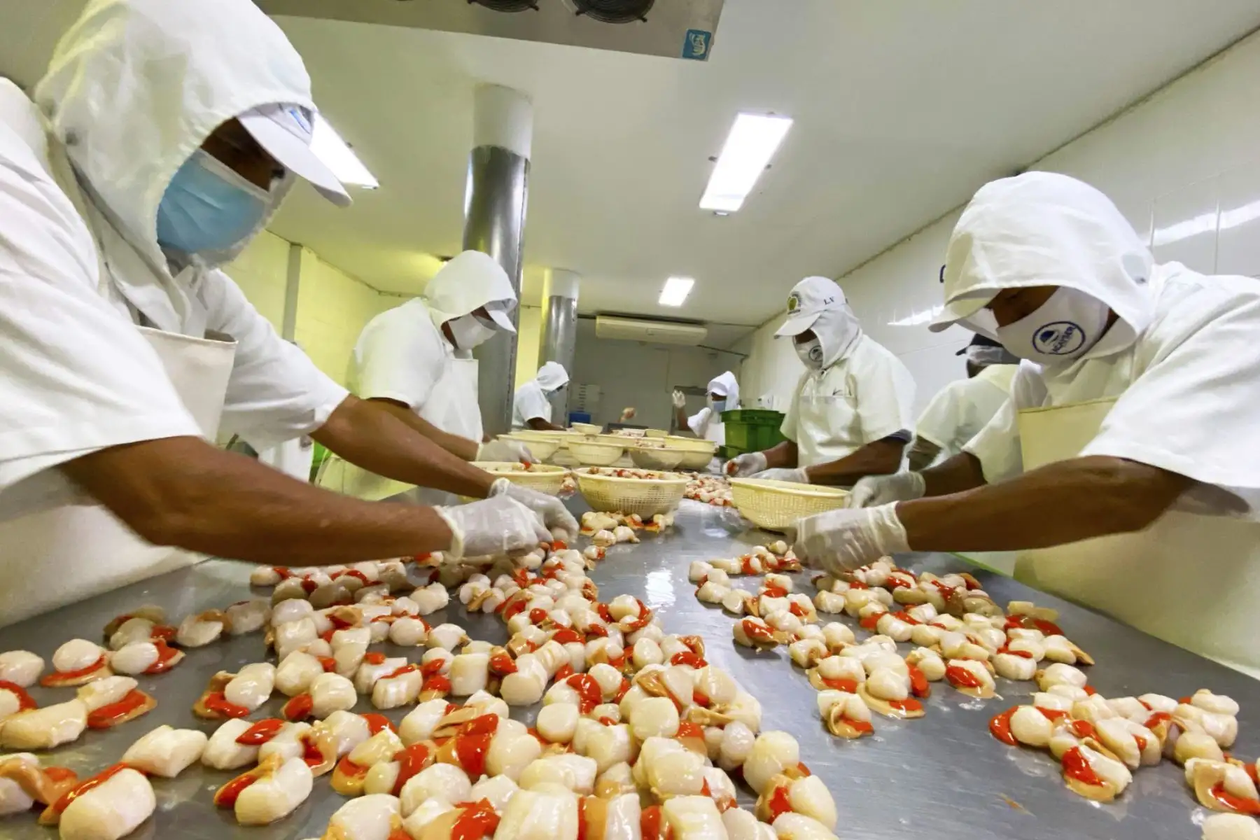 Sanipes presenta manual que acelerará inspecciones en plantas procesadoras