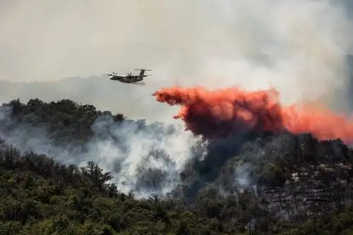 Francia: incendio forestal cerca de Perpiñán quema 4.600 hectáreas