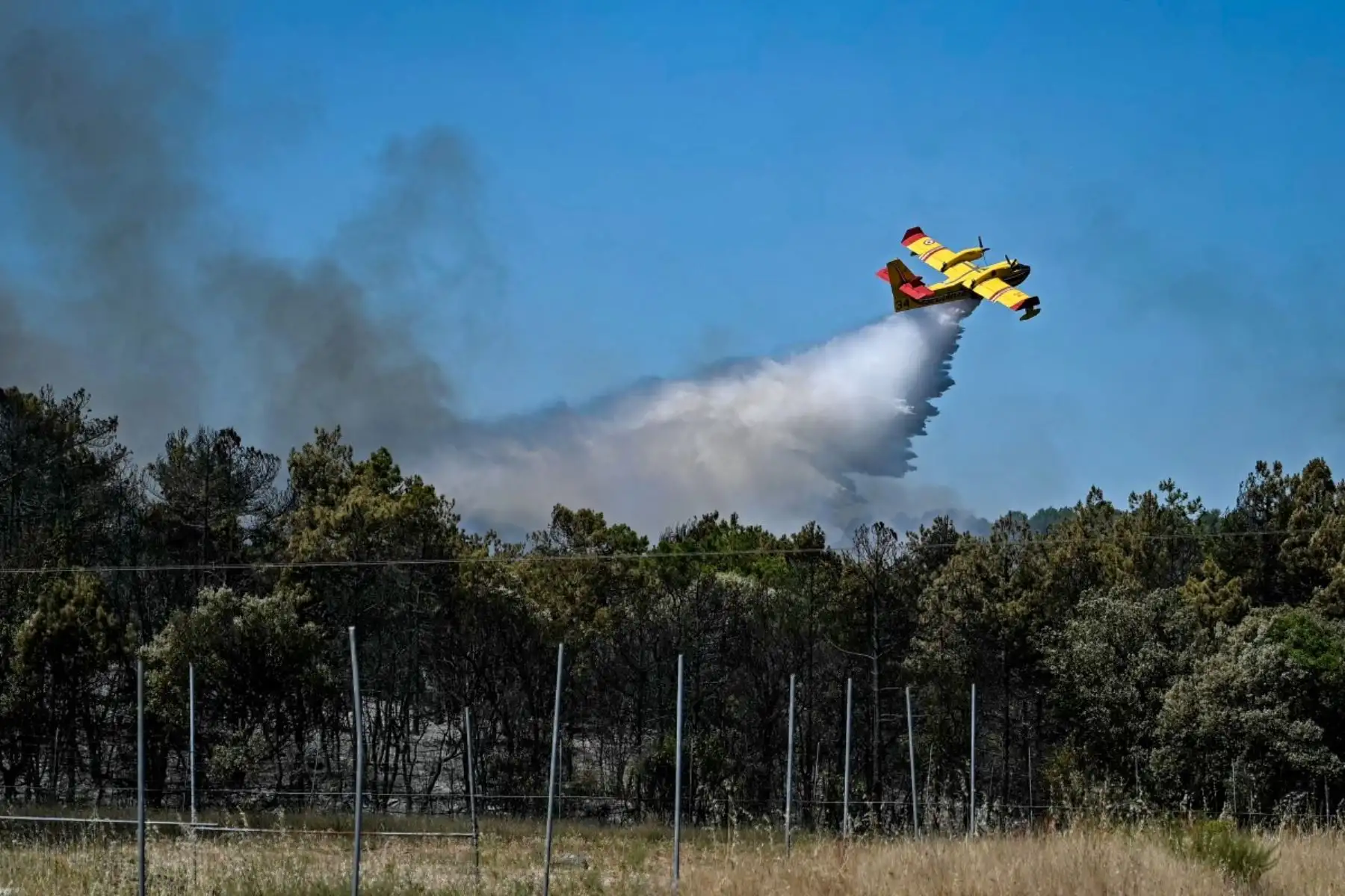 Un avión cisterna Canadair CL-415 de los servicios de Seguridad Civil de Francia arroja agua sobre un incendio forestal en el departamento de Hérault, en el sur de Francia, mientras 700 bomberos, apoyados por aeronaves especiales, luchaban por controlar un incendio "gigantesco" en el cercano departamento de Pirineos Orientales, cerca de la ciudad de Carlencas-et-Levas, el 6 de julio de 2026. Foto: AFP