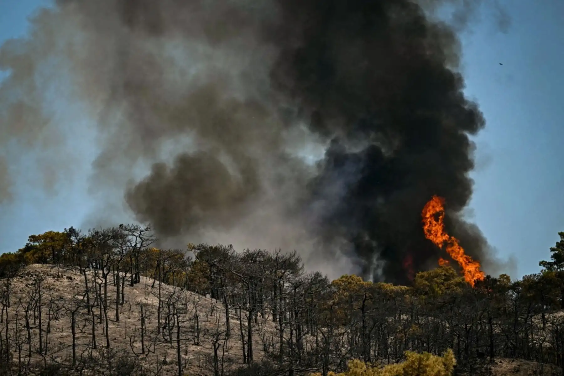 Un incendio forestal arrasa una colina en el departamento de Hérault, en el sur de Francia, mientras 700 bomberos, apoyados por aeronaves especiales, luchan por controlar un incendio "gigantesco" en el cercano departamento de Pirineos Orientales, cerca de la ciudad de Carlencas-et-Levas, el 6 de julio de 2026. Foto: AFP