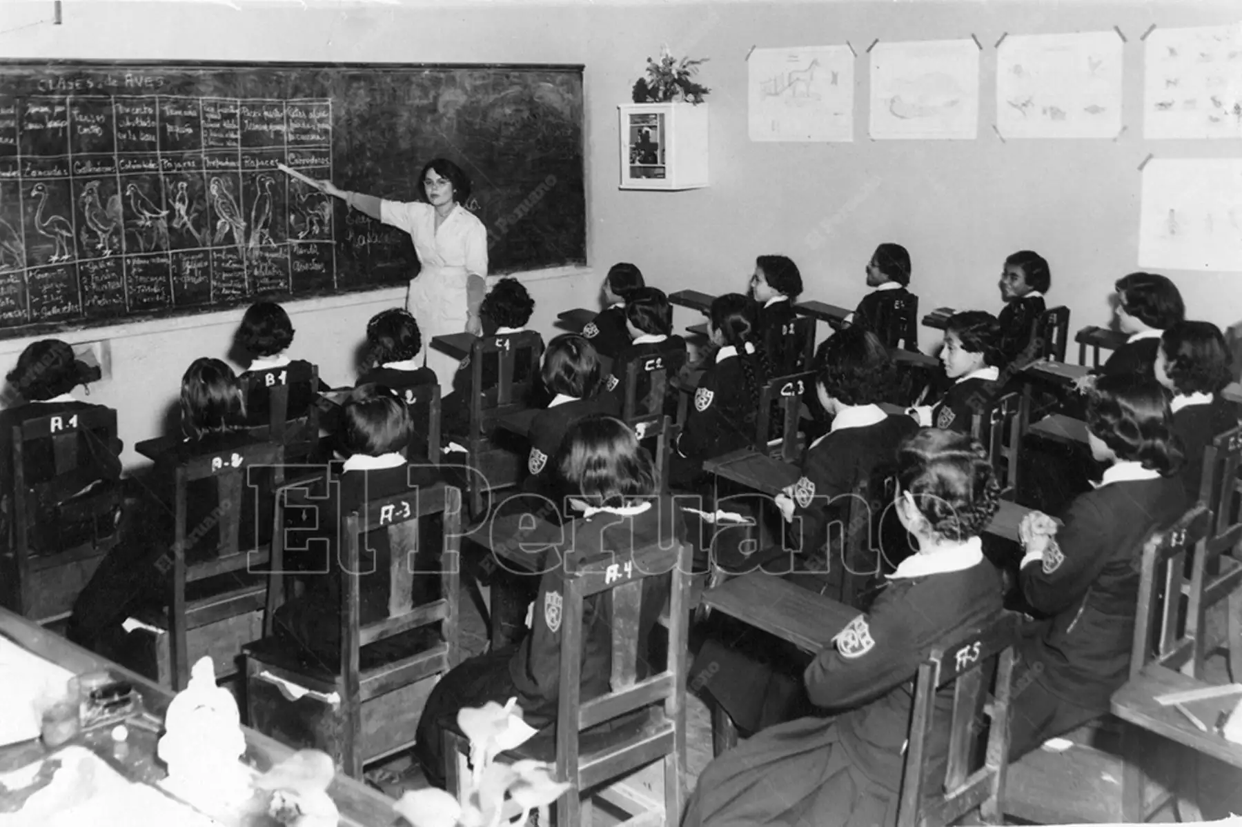 Lima -  Década 1960 / Una maestra dicta clases de Naturaleza  a la sección del cuarto año de primaria de la Gran Unida Escolar Mercedes Cabello de Carbonera. Foto: Archivo