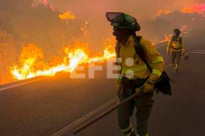 Bomberos trabajan contra el fuego en la localidad española de Los Gallardos. Imagen: EFE/Emergencias Andalucía.