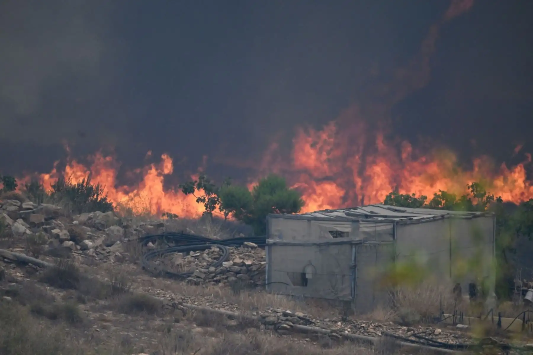 Doce personas murieron y 19 están desaparecidas después de que un incendio forestal arrasara un pueblo español; cuatro de las víctimas, que podrían ser británicas, murieron calcinadas en su coche, según informaron las autoridades. Foto: AFP