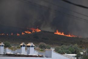 Familia real guarda minuto de silencio por incendios en España.
