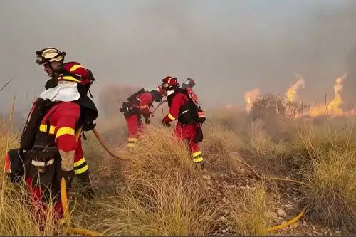 12 muertos y 8 heridos en un incendio en el sur de España, el más grave hasta la fecha