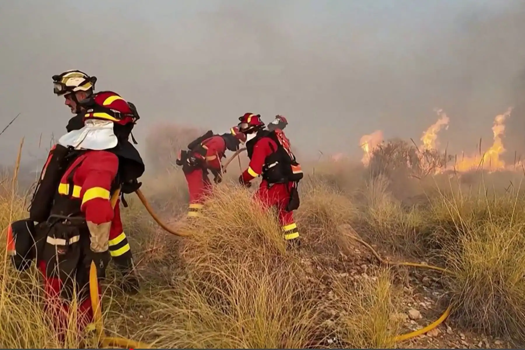 Doce personas murieron y 19 están desaparecidas después de que un incendio forestal arrasara un pueblo español; cuatro de las víctimas, que podrían ser británicas, murieron calcinadas en su coche, según informaron las autoridades. Foto: AFP