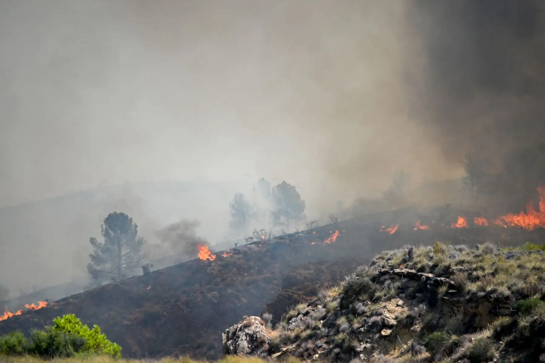 Varios focos en el incendio forestal declarado en Los Gallardos, Almería, con un balance provisional de 12 personas fallecidas, ocho heridas y 19 desaparecidas. Foto: EFE